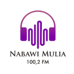 Logo Perusahaan Radio Nabawi Mulia - Lowongan Account Executive