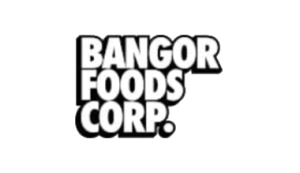 Logo Perusahaan Bangor Group Indonesia - Lowongan Kerja Field Support